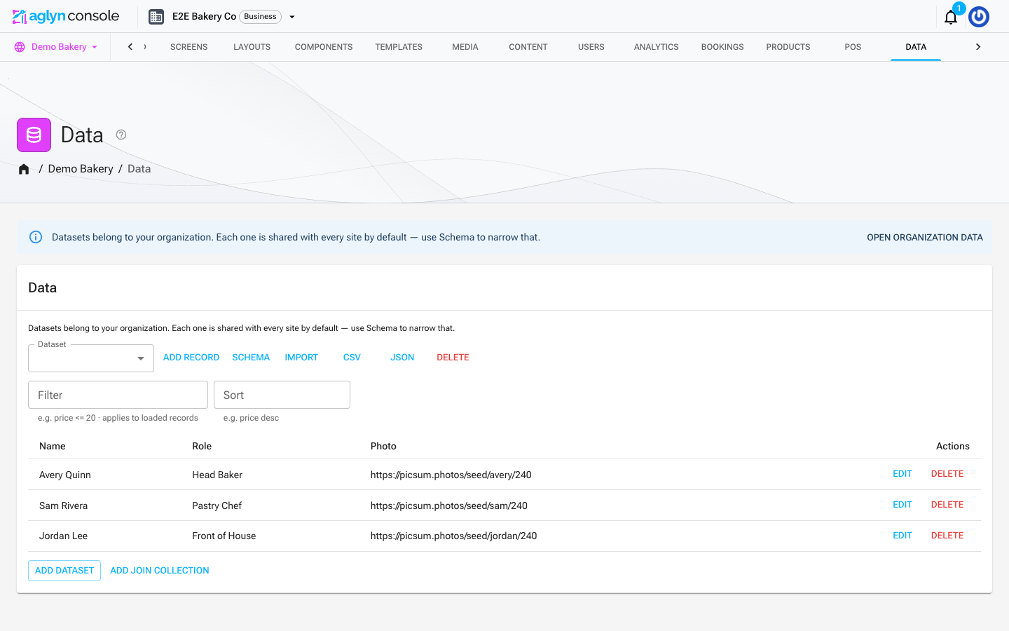 The Data page in the Aglyn console: an organization-shared dataset with its records table, filter and sort inputs, and Import/CSV/JSON actions