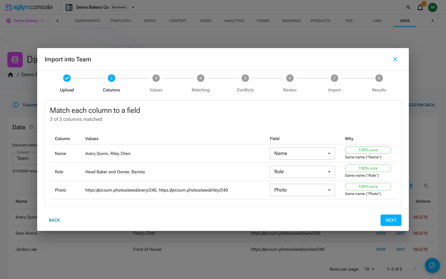 The import wizard's Columns step: each column of the file matched to a field of the dataset, with how sure the match is