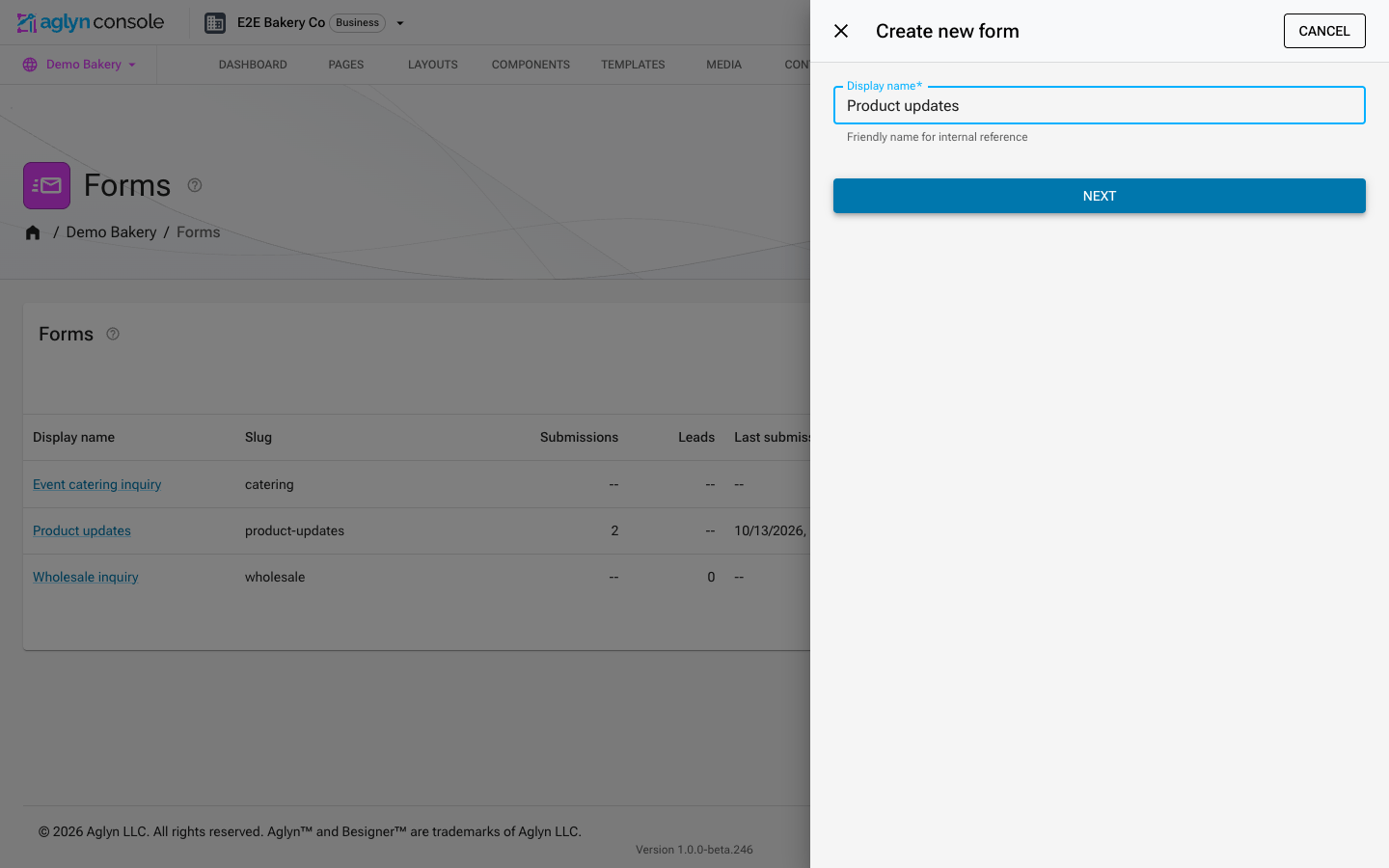 The Forms page with the Create new form drawer open and Product updates typed in the Display name field