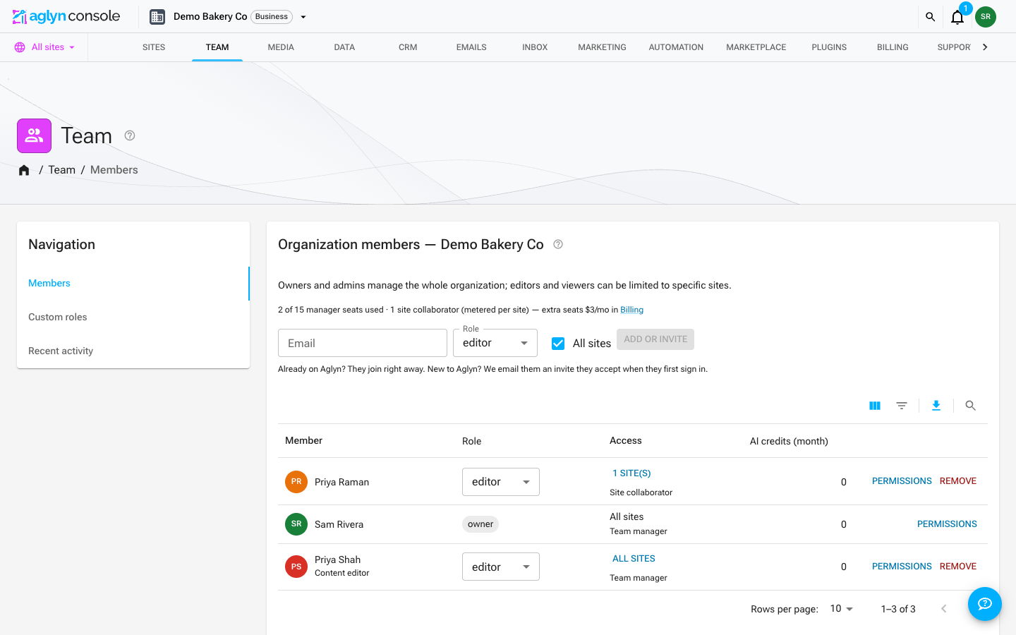 The organization Team page: the invite row above the members roster, with each member's role, access and AI credits, under the table's Columns, Filters, Export and Search controls